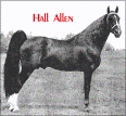 Hall Allen