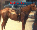 Red Bud Lady