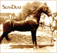 Sun-dust