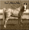Sun's Merry Man