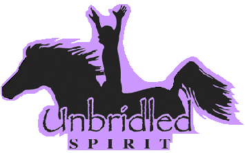 Unbridled Spirit is a unique blend of training techniques derived from Monty Roberts, Pat Parelli, John Lyons, and other well-known trainers, developed by Stephanie McGlothlin to create a bond between horse and rider that develops lasting trust, respect, and emotional growth.