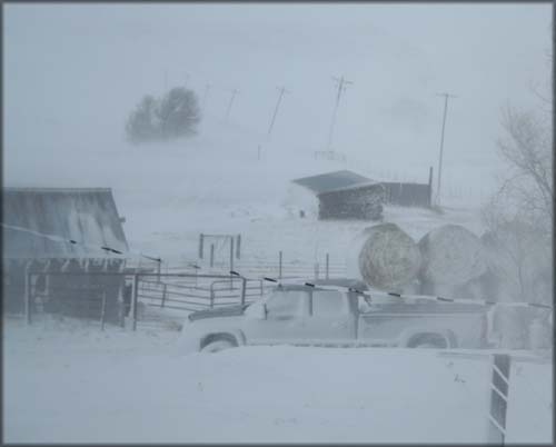 Blizzard 4-30-2011  - buried pickup