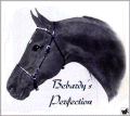 Bebardy Perfection