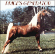 Prides Generator