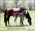 EBONYS COUNTRY CHARM