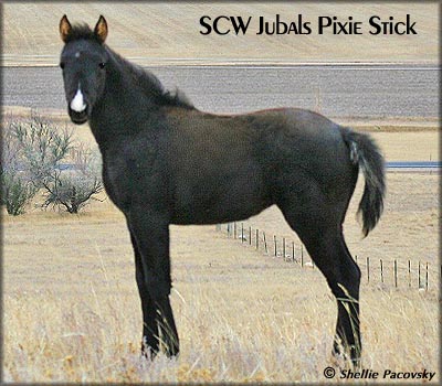 SCW JUBALS PIXIE STICK  TWHBEA  #20903143