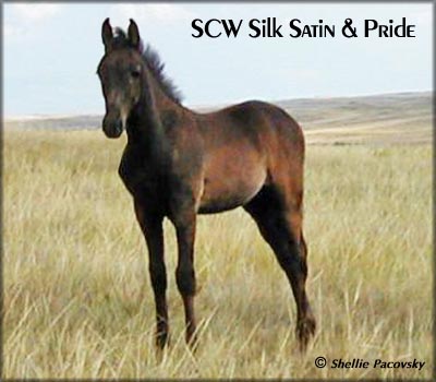 SCW SILK SATIN & PRIDE  #20601060