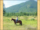 A Quiet Ride