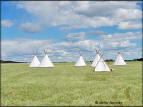 Fort Union Teepees