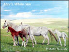 May's White Star