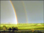 Slush Creek Pot O' Gold