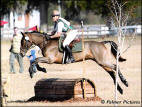 Slush Creeks Triple Jet Over Fences