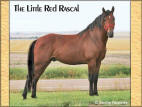 The Little Red Rascal