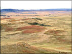 View from Coyote Hill