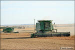 Combining lentils.