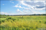 Missouri River bottom