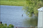 Dam behind the house